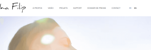 Screenshot de Electronic Press Kit para artista com cobertura no New York Times